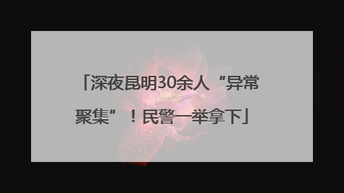 深夜昆明30余人“异常聚集”！民警一举拿下