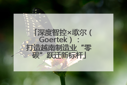 深度智控×歌尔（Goertek）：打造越南制造业“零碳”跃迁新标杆