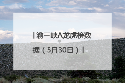 渝三峡A龙虎榜数据（5月30日）