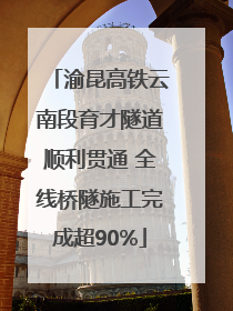 渝昆高铁云南段育才隧道顺利贯通 全线桥隧施工完成超90%