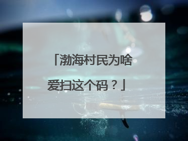 渤海村民为啥爱扫这个码？