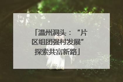 温州洞头：“片区组团强村发展”探索共富新路