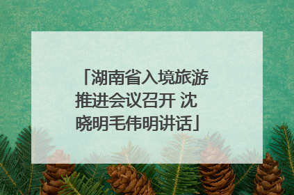 湖南省入境旅游推进会议召开 沈晓明毛伟明讲话