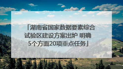 湖南省国家数据要素综合试验区建设方案出炉 明确5个方面20项重点任务