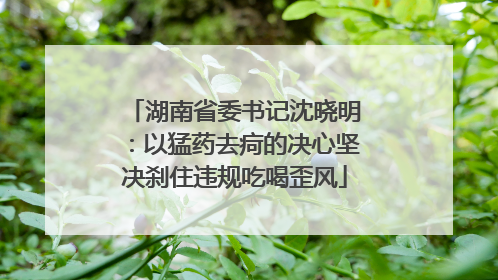湖南省委书记沈晓明：以猛药去疴的决心坚决刹住违规吃喝歪风