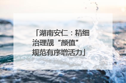 湖南安仁：精细治理靓“颜值” 规范有序增活力
