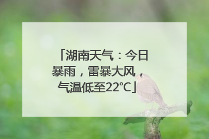 湖南天气：今日暴雨，雷暴大风，气温低至22℃