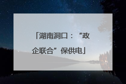 湖南洞口：“政企联合”保供电