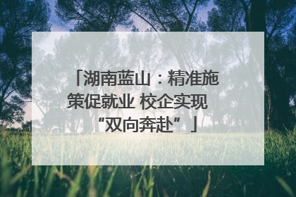 湖南蓝山：精准施策促就业 校企实现“双向奔赴”