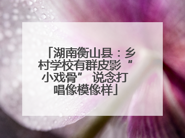 湖南衡山县：乡村学校有群皮影“小戏骨” 说念打唱像模像样