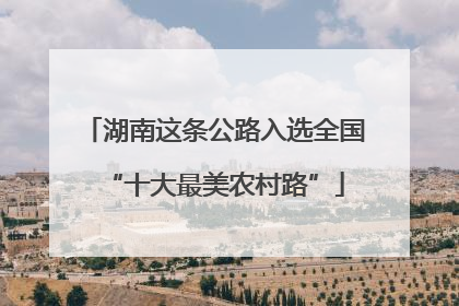 湖南这条公路入选全国“十大最美农村路”