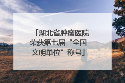 湖北省肿瘤医院荣获第七届“全国文明单位”称号