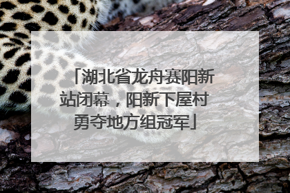 湖北省龙舟赛阳新站闭幕，阳新下屋村勇夺地方组冠军