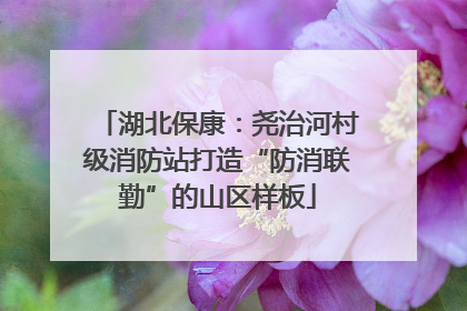 湖北保康：尧治河村级消防站打造“防消联勤”的山区样板