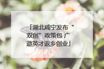 湖北咸宁发布“双创”政策包 广邀英才返乡创业