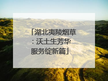 湖北夷陵烟草：沃土生芳华 服务绽新篇