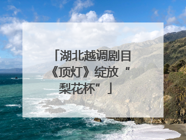 湖北越调剧目《顶灯》绽放“梨花杯”