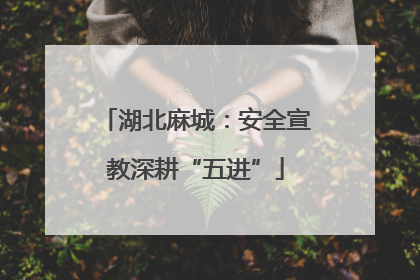 湖北麻城：安全宣教深耕“五进”