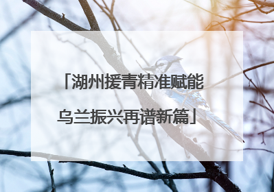 湖州援青精准赋能 乌兰振兴再谱新篇