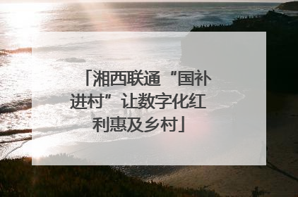 湘西联通“国补进村”让数字化红利惠及乡村