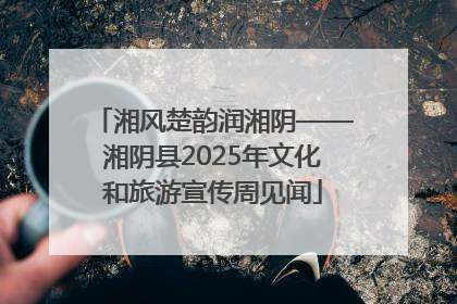 湘风楚韵润湘阴——湘阴县2025年文化和旅游宣传周见闻