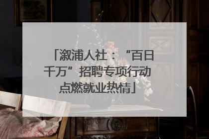 溆浦人社：“百日千万”招聘专项行动点燃就业热情