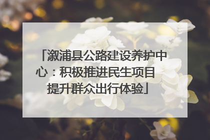 溆浦县公路建设养护中心：积极推进民生项目 提升群众出行体验
