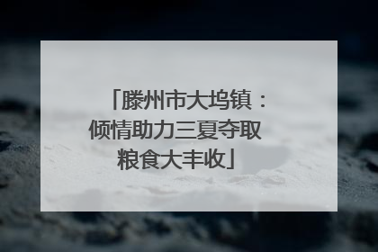 滕州市大坞镇：倾情助力三夏夺取粮食大丰收