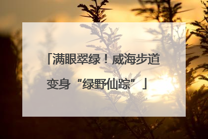 满眼翠绿！威海步道变身“绿野仙踪”
