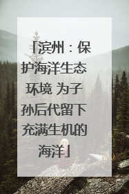 滨州：保护海洋生态环境 为子孙后代留下充满生机的海洋