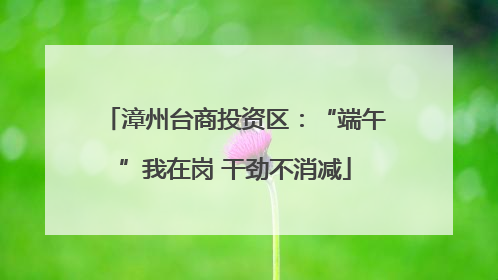 漳州台商投资区：“端午”我在岗 干劲不消减