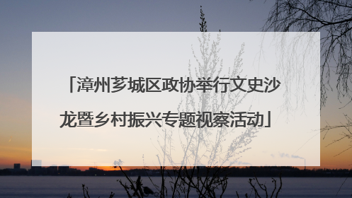 漳州芗城区政协举行文史沙龙暨乡村振兴专题视察活动