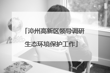 漳州高新区领导调研生态环境保护工作