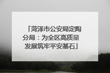 菏泽市公安局定陶分局：为全区高质量发展筑牢平安基石