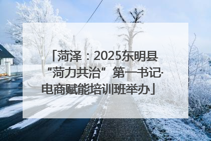 菏泽：2025东明县“菏力共治”第一书记·电商赋能培训班举办