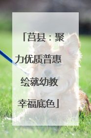 莒县：聚力优质普惠 绘就幼教幸福底色