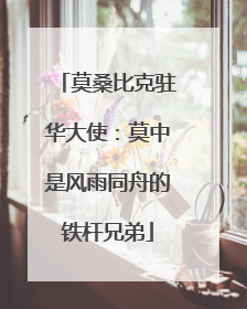 莫桑比克驻华大使：莫中是风雨同舟的铁杆兄弟