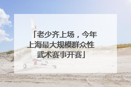 老少齐上场，今年上海最大规模群众性武术赛事开赛