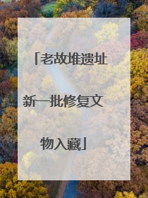 老故堆遗址新一批修复文物入藏