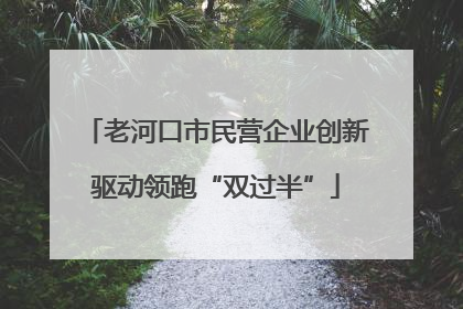 老河口市民营企业创新驱动领跑“双过半”