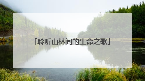 聆听山林间的生命之歌
