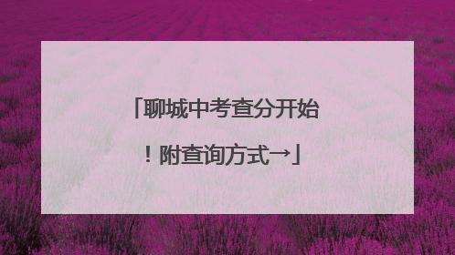 聊城中考查分开始！附查询方式→
