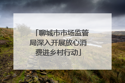 聊城市市场监管局深入开展放心消费进乡村行动