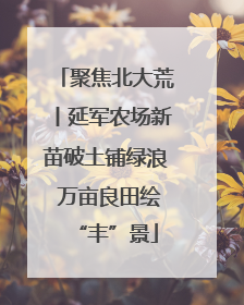聚焦北大荒丨延军农场新苗破土铺绿浪 万亩良田绘“丰”景