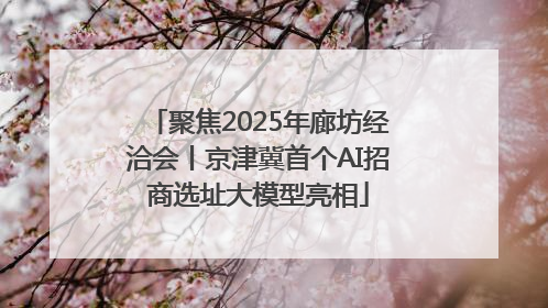聚焦2025年廊坊经洽会丨京津冀首个AI招商选址大模型亮相
