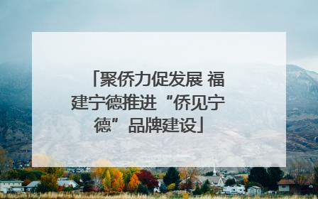 聚侨力促发展 福建宁德推进“侨见宁德”品牌建设