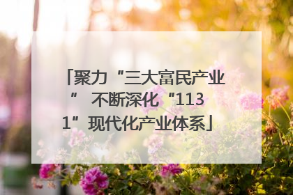 聚力“三大富民产业” 不断深化“1131”现代化产业体系