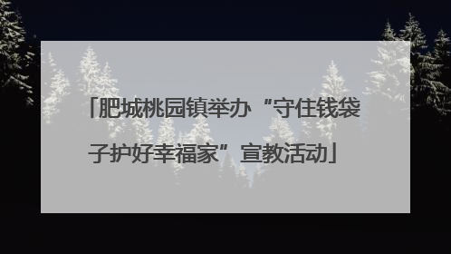 肥城桃园镇举办“守住钱袋子护好幸福家”宣教活动