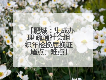 肥城：集成办理 疏通社会组织年检换届换证堵点、难点