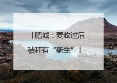 肥城：麦收过后秸秆有“新生”
